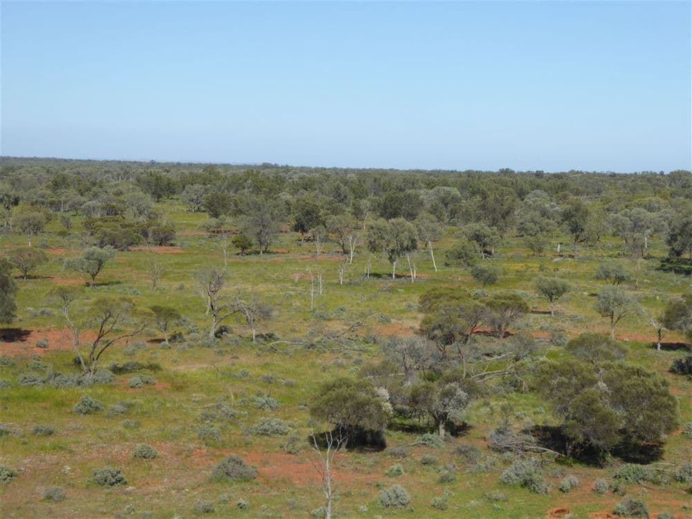 " Mulgawarra", Broken Hill, NSW 2880, Broken Hill - Thumbnail 4
