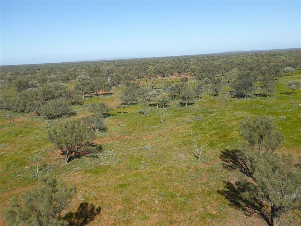 " Mulgawarra", Broken Hill, NSW 2880, Broken Hill - Thumbnail 7