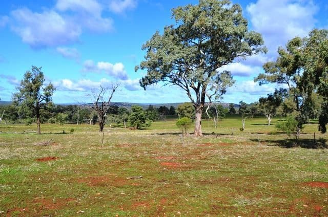 Buckambool Lerida/Roto Road, Cobar, NSW 2835, Cobar - Thumbnail 3