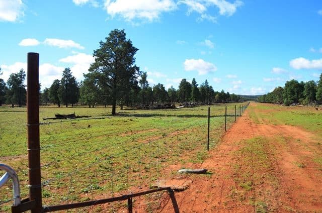 Buckambool Lerida/Roto Road, Cobar, NSW 2835, Cobar - Thumbnail 4