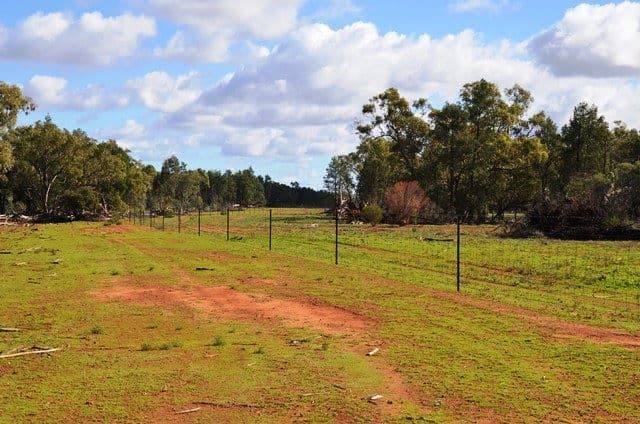 Buckambool Lerida/Roto Road, Cobar, NSW 2835, Cobar - Thumbnail 5