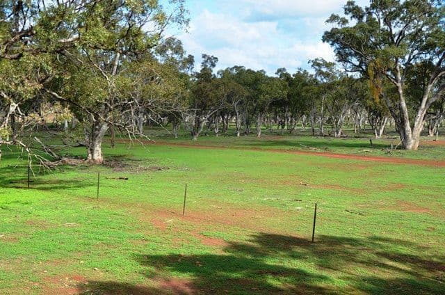 Buckambool Lerida/Roto Road, Cobar, NSW 2835, Cobar - Thumbnail 7