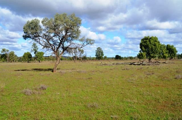 Buckambool Lerida/Roto Road, Cobar, NSW 2835, Cobar - Thumbnail 8