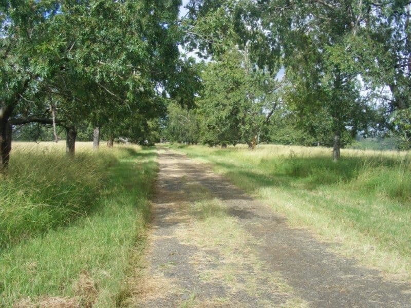 Sandilands/7689 Bruxner Highway, Tabulum via, Casino, NSW 2470, Tabulum Via - Thumbnail 3