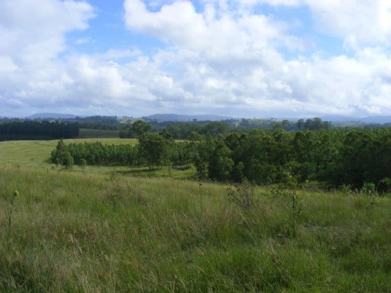 Sandilands/7689 Bruxner Highway, Tabulum via, Casino, NSW 2470, Tabulum Via - Thumbnail 5