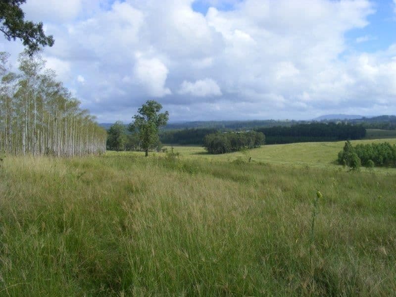 Sandilands/7689 Bruxner Highway, Tabulum via, Casino, NSW 2470, Tabulum Via - Thumbnail 6