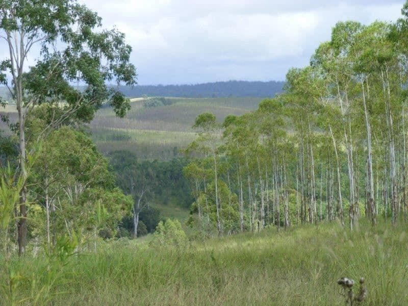 Sandilands/7689 Bruxner Highway, Tabulum via, Casino, NSW 2470, Tabulum Via - Thumbnail 7