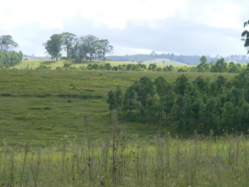 Sandilands/7689 Bruxner Highway, Tabulum via, Casino, NSW 2470, Tabulum Via - Thumbnail 8