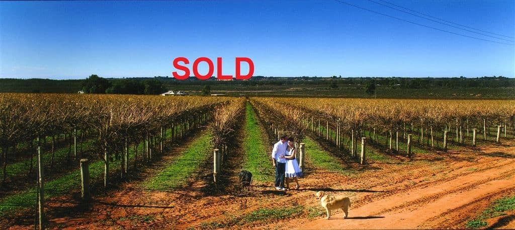 Winkie SA, Winkie - Image 1