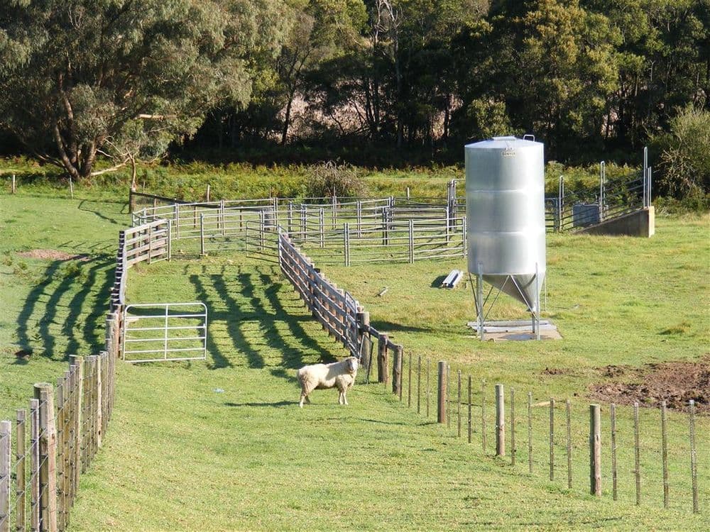 137 Sporer's Lane, Mount Burr, SA 5279, Mount Burr - Image 1