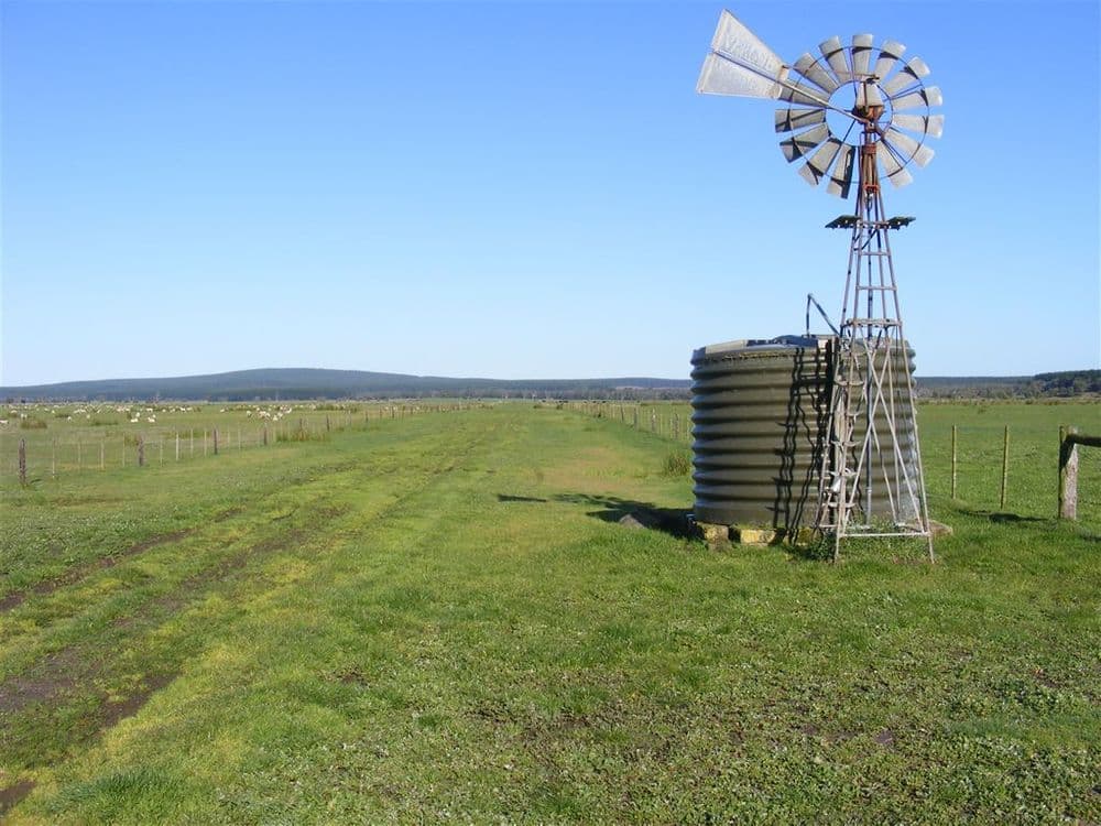 137 Sporer's Lane, Mount Burr, SA 5279, Mount Burr - Thumbnail 3