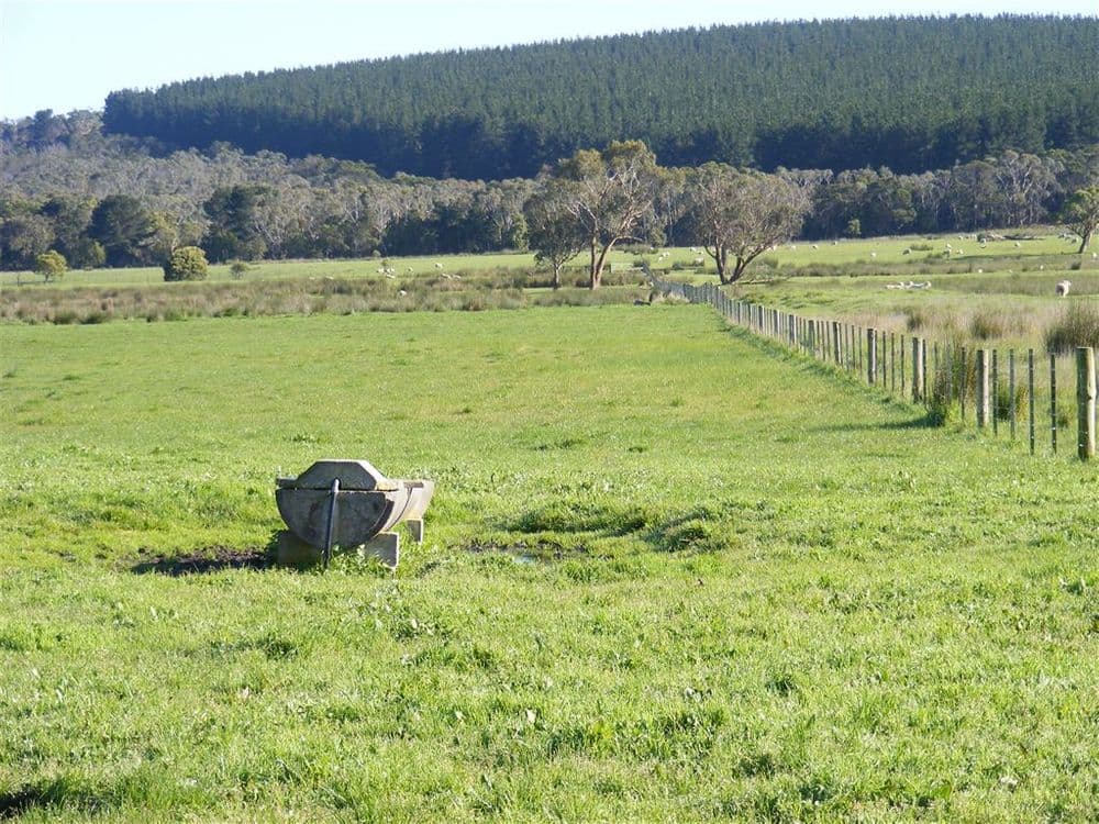 137 Sporer's Lane, Mount Burr, SA 5279, Mount Burr - Thumbnail 4