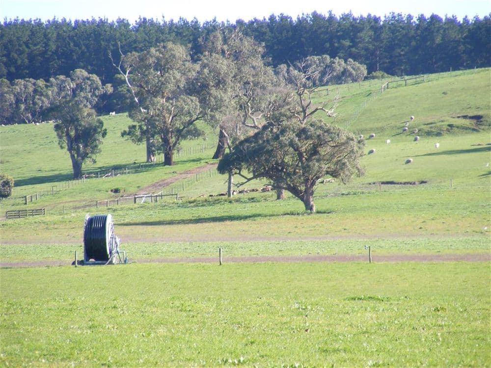 137 Sporer's Lane, Mount Burr, SA 5279, Mount Burr - Thumbnail 6