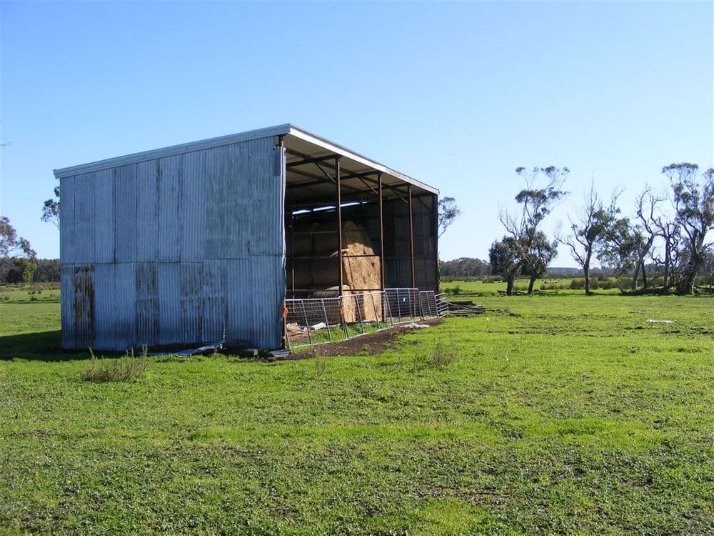 137 Sporer's Lane, Mount Burr, SA 5279, Mount Burr - Thumbnail 7