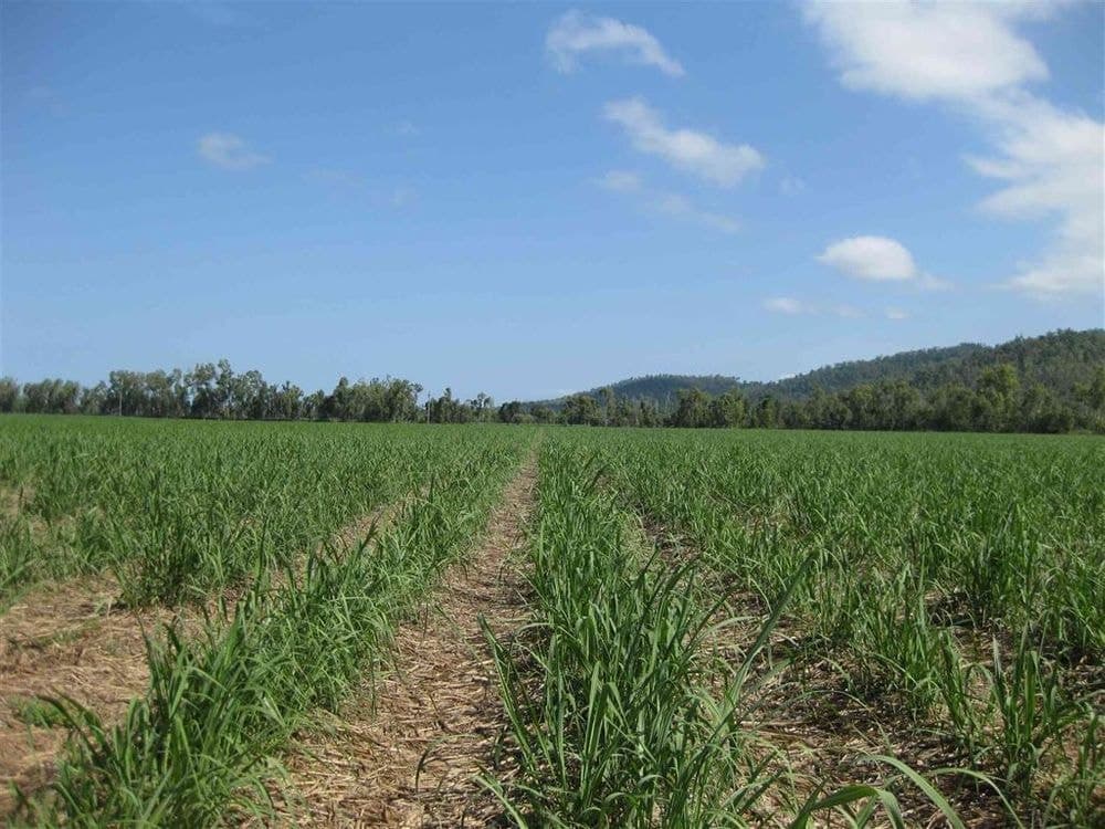  Bilyana Road, Bilyana, QLD, 4854, Bilyana - Image 1
