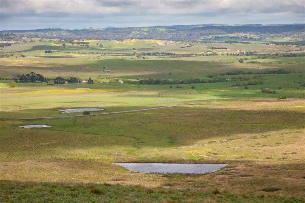 257 Pomeroy Road, Goulburn, NSW 2580, Pomeroy - Thumbnail 2