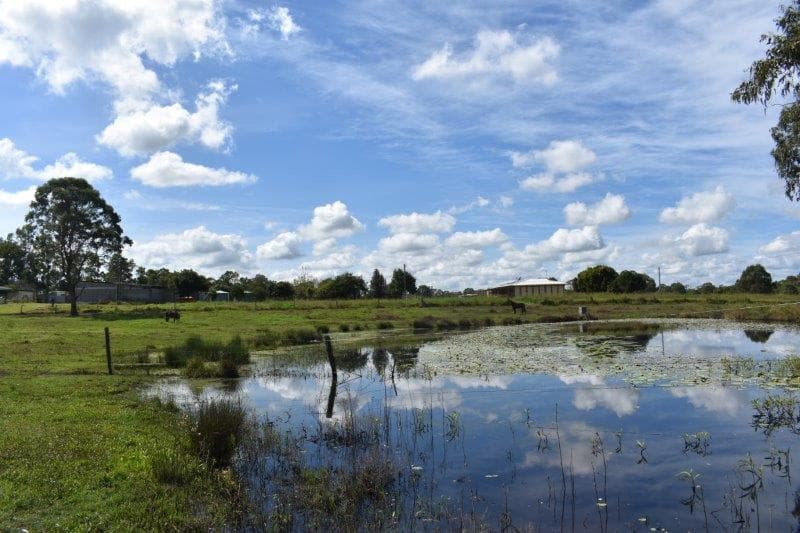 122 Pilerwa Road, Mungar, QLD, 4650, Mungar - Thumbnail 2