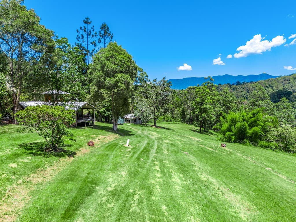 364 Byrrill Creek Road, Byrrill Creek, NSW, 2484, Byrrill Creek - Image 1