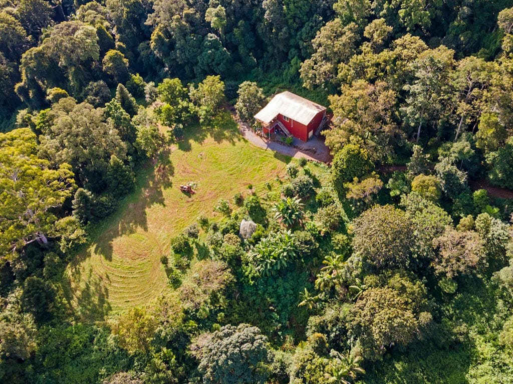 84 Coomera Gorge Drive, Tamborine Mountain, QLD, 4272, Tamborine Mountain - Thumbnail 2