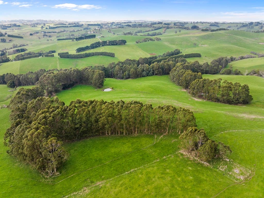 350 Jeetho West Road, Jeetho, VIC, 3945, Jeetho - Thumbnail 3
