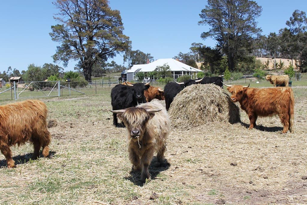 8991 Nerriga Road, Braidwood, NSW, 2622, Marlowe - Image 1