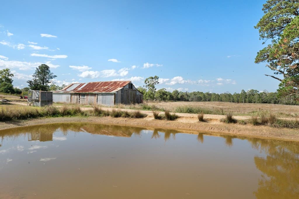 8991 Nerriga Road, Braidwood, NSW, 2622, Marlowe - Thumbnail 2
