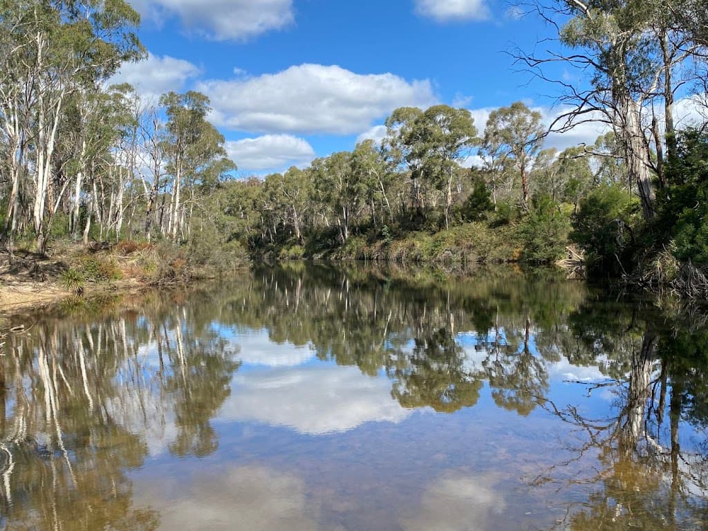 8991 Nerriga Road, Braidwood, NSW, 2622, Marlowe - Thumbnail 4