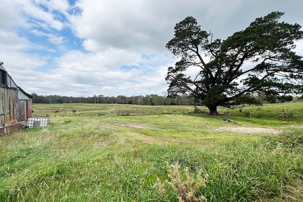 8991 Nerriga Road, Braidwood, NSW, 2622, Marlowe - Thumbnail 7