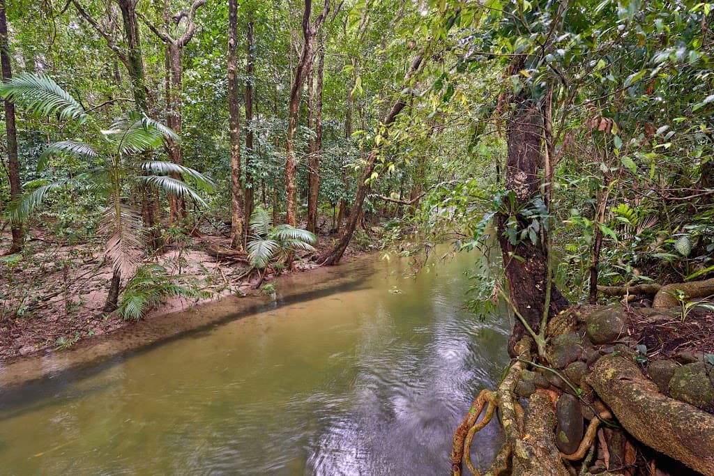 21 Munro Road, Bellenden Ker, QLD, 4871, Bellenden Ker - Thumbnail 4