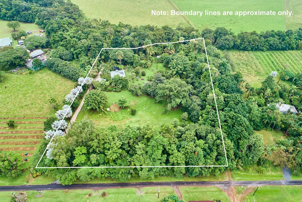 21 Munro Road, Bellenden Ker, QLD, 4871, Bellenden Ker - Thumbnail 6