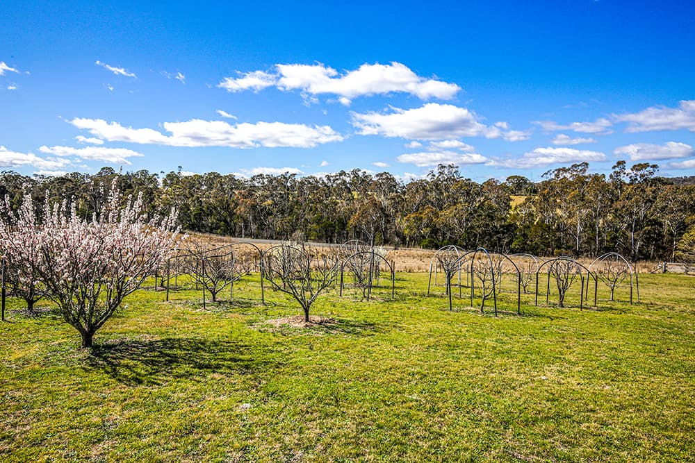 4873 Oallen Ford Road, Bungonia, NSW, 2580, Bungonia - Thumbnail 3