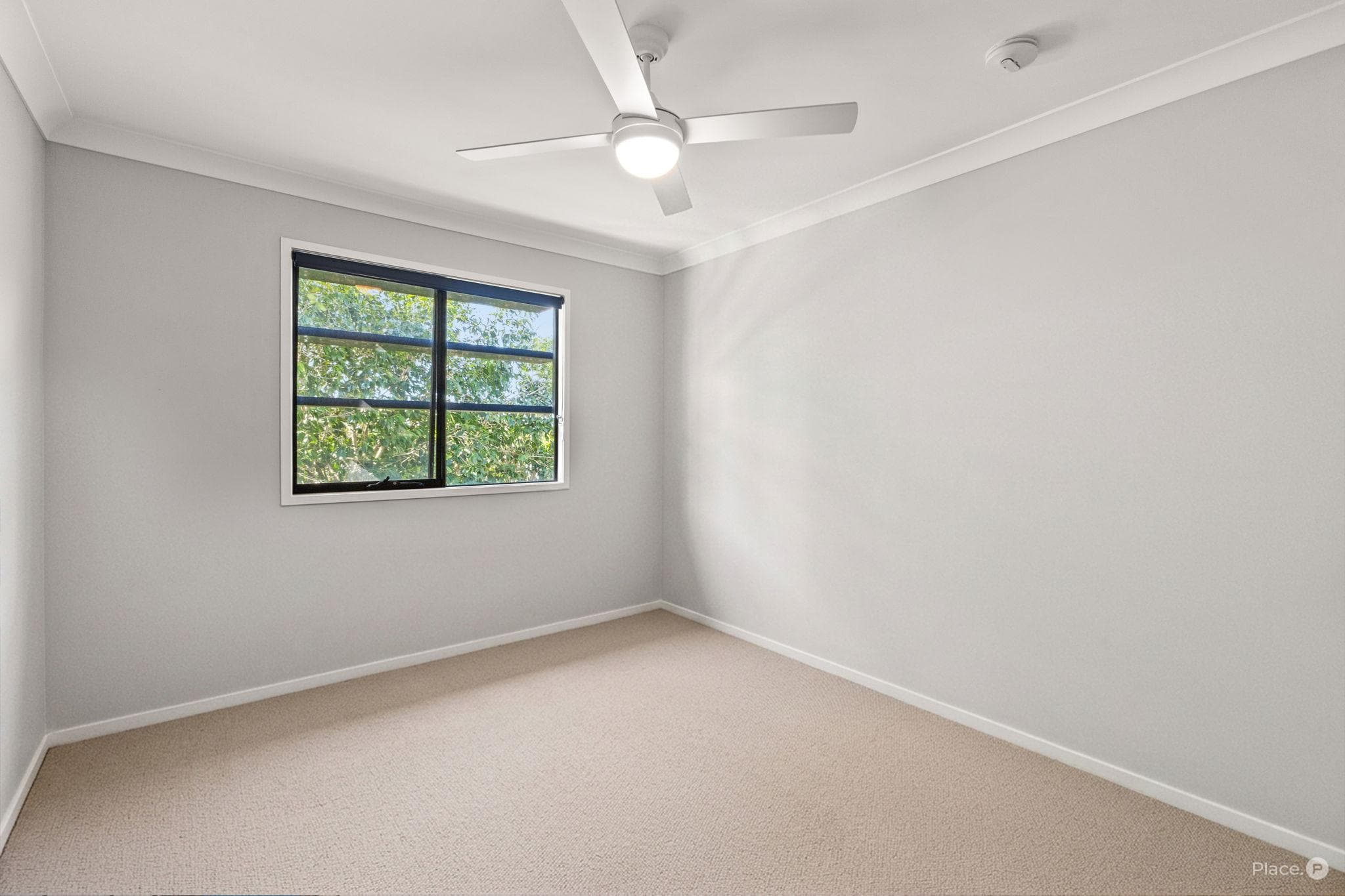 10 Giosam Street, Richlands - Thumbnail 7