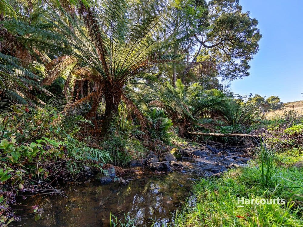 00 Dudfields Road, MOUNT HICKS, TAS 7325, Mount Hicks - Thumbnail 4