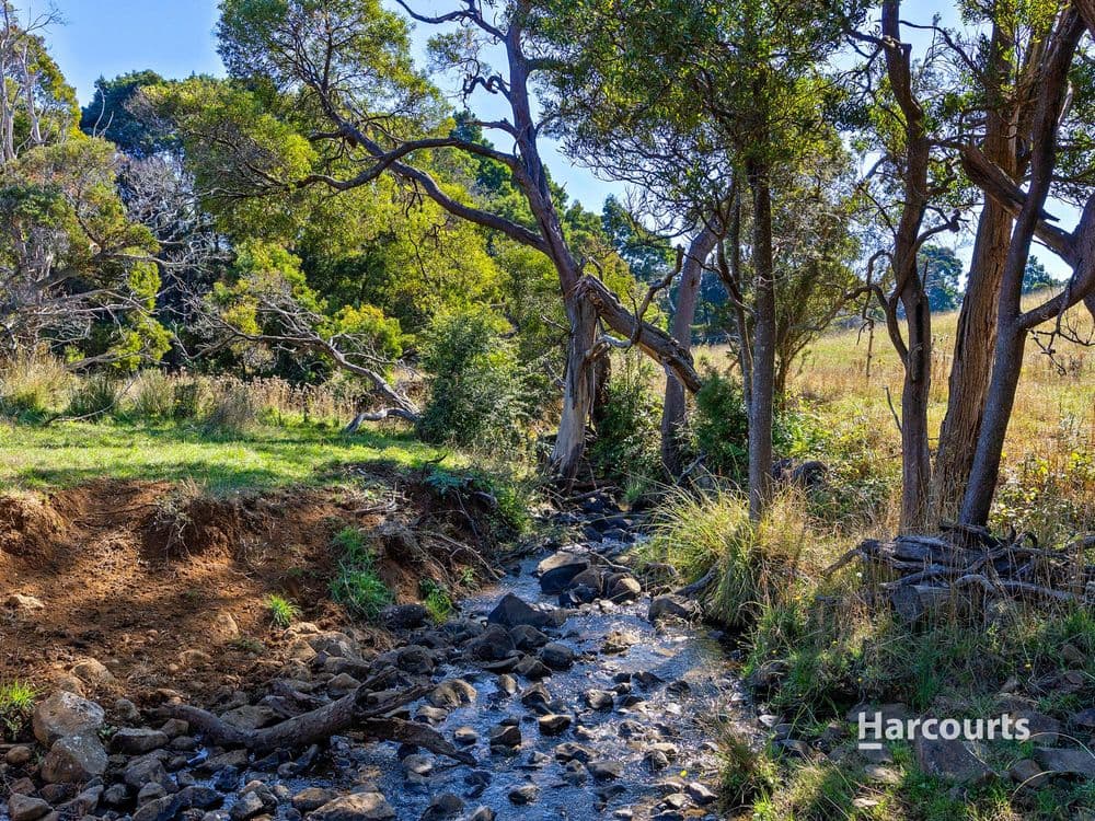 00 Dudfields Road, MOUNT HICKS, TAS 7325, Mount Hicks - Thumbnail 5