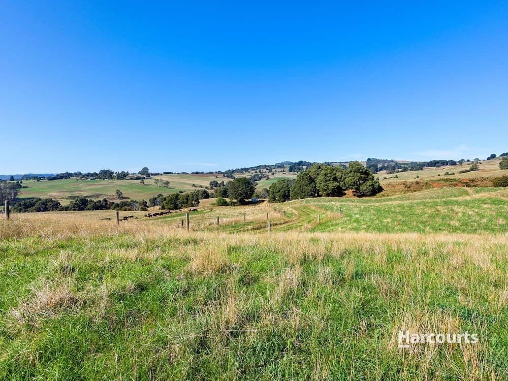 00 Dudfields Road, MOUNT HICKS, TAS 7325, Mount Hicks - Thumbnail 6