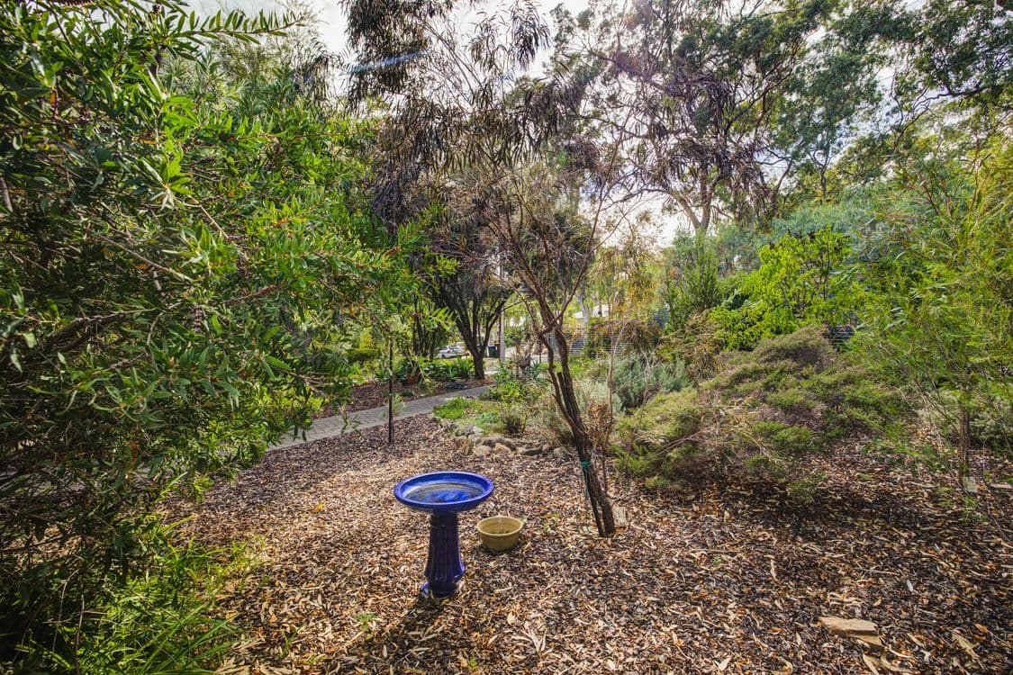 36 Myrtle Road, Hawthorndene, SA 5051, Hawthorndene - Thumbnail 5