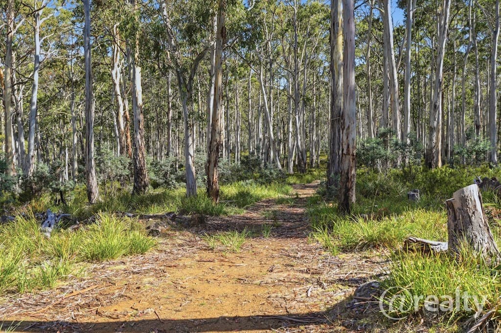 2340 Victoria Valley Road, Victoria Valley, TAS, 7140, Victoria Valley - Thumbnail 2