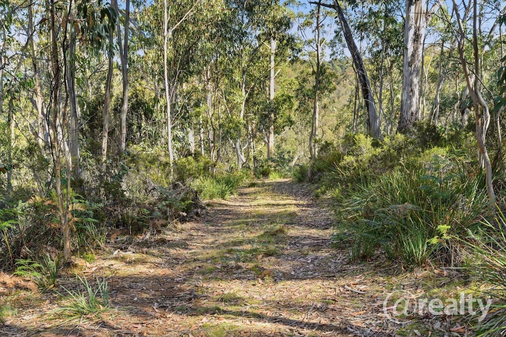 2340 Victoria Valley Road, Victoria Valley, TAS, 7140, Victoria Valley - Thumbnail 8