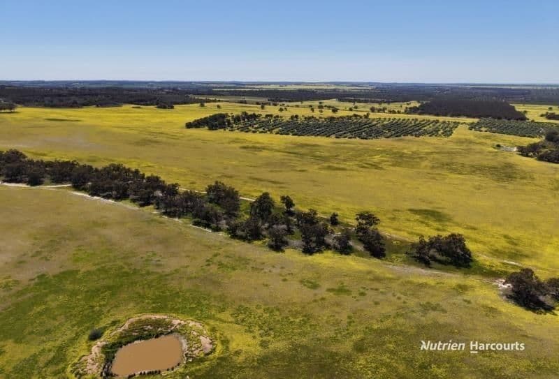 184 Ewert Road, MORBINNING, WA 6304, Morbinning - Thumbnail 2