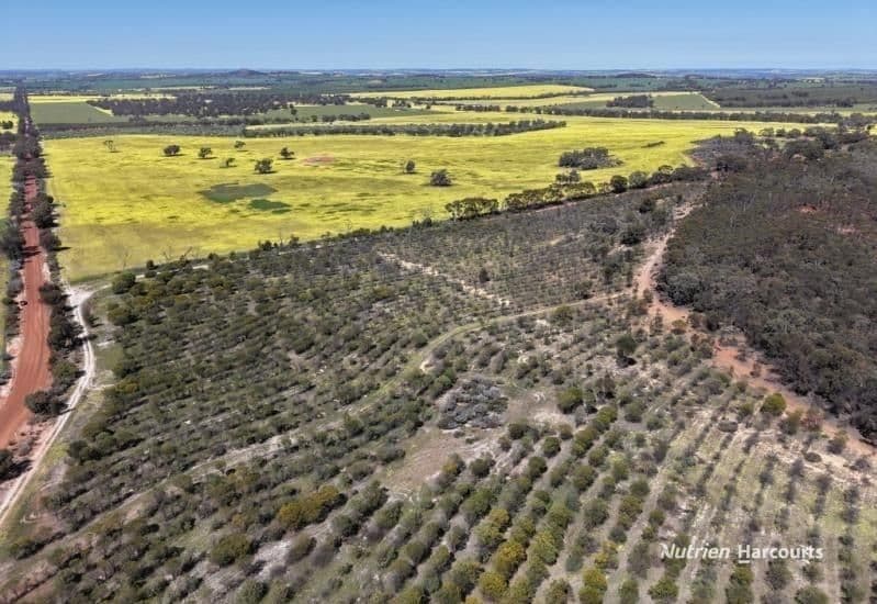 184 Ewert Road, MORBINNING, WA 6304, Morbinning - Thumbnail 5