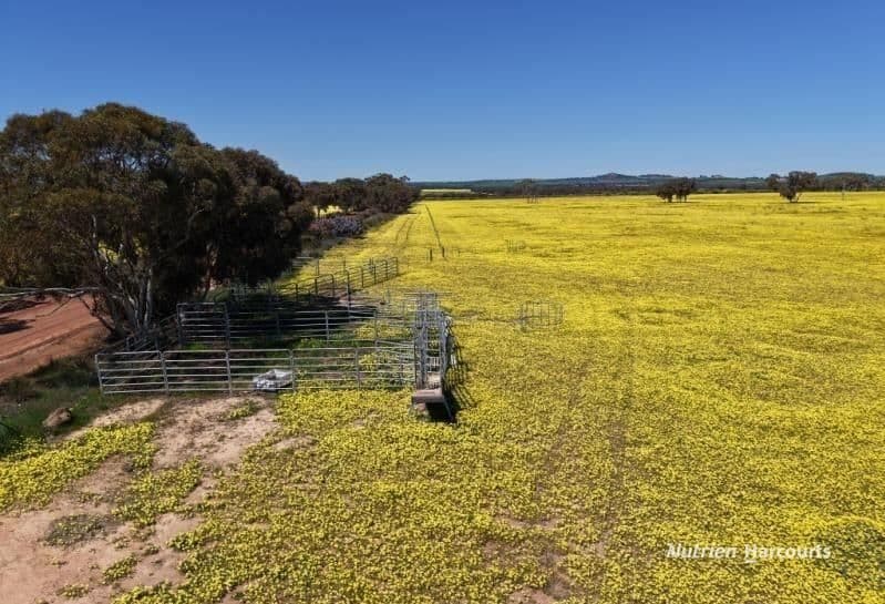 184 Ewert Road, MORBINNING, WA 6304, Morbinning - Thumbnail 6
