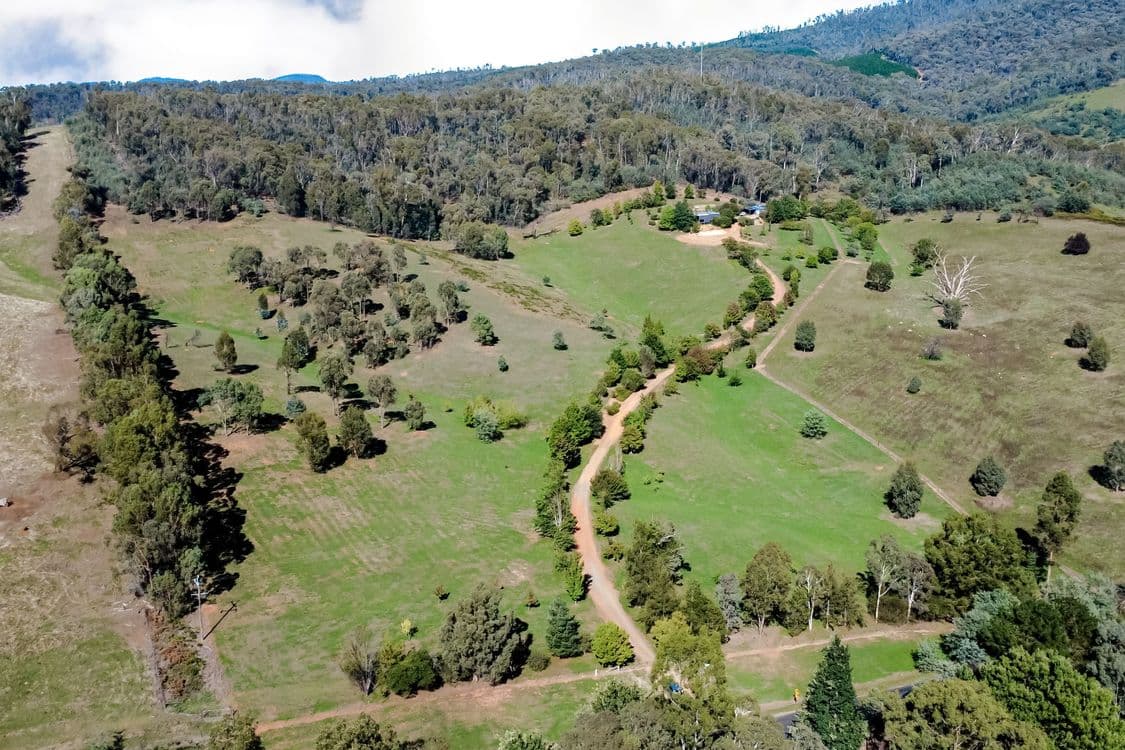 3852 Jingellic Road, LANKEYS CREEK, NSW 2644, Lankeys Creek - Image 1