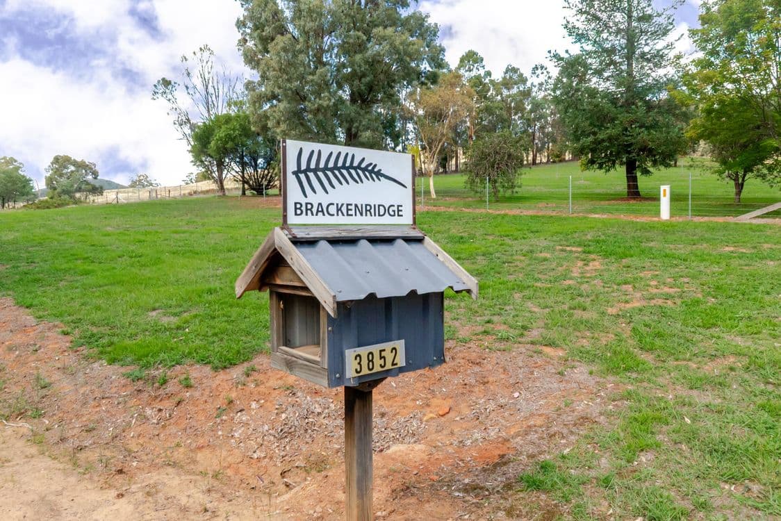3852 Jingellic Road, LANKEYS CREEK, NSW 2644, Lankeys Creek - Thumbnail 2