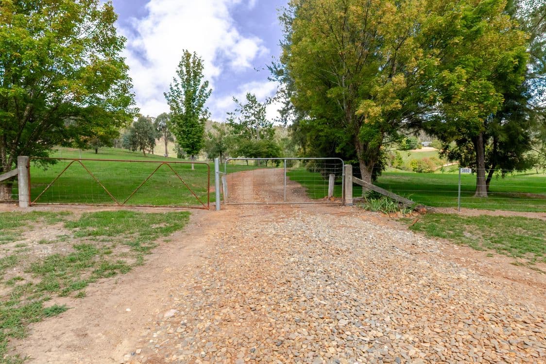 3852 Jingellic Road, LANKEYS CREEK, NSW 2644, Lankeys Creek - Thumbnail 3