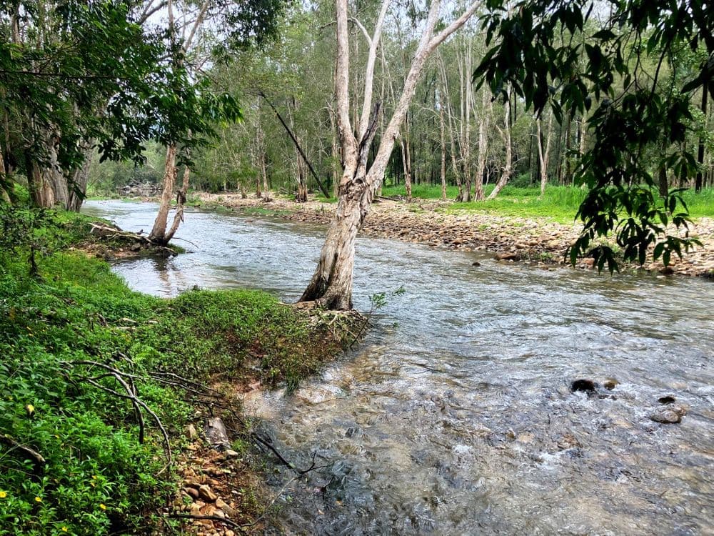 FINCH HATTON QLD, Finch Hatton - Thumbnail 3