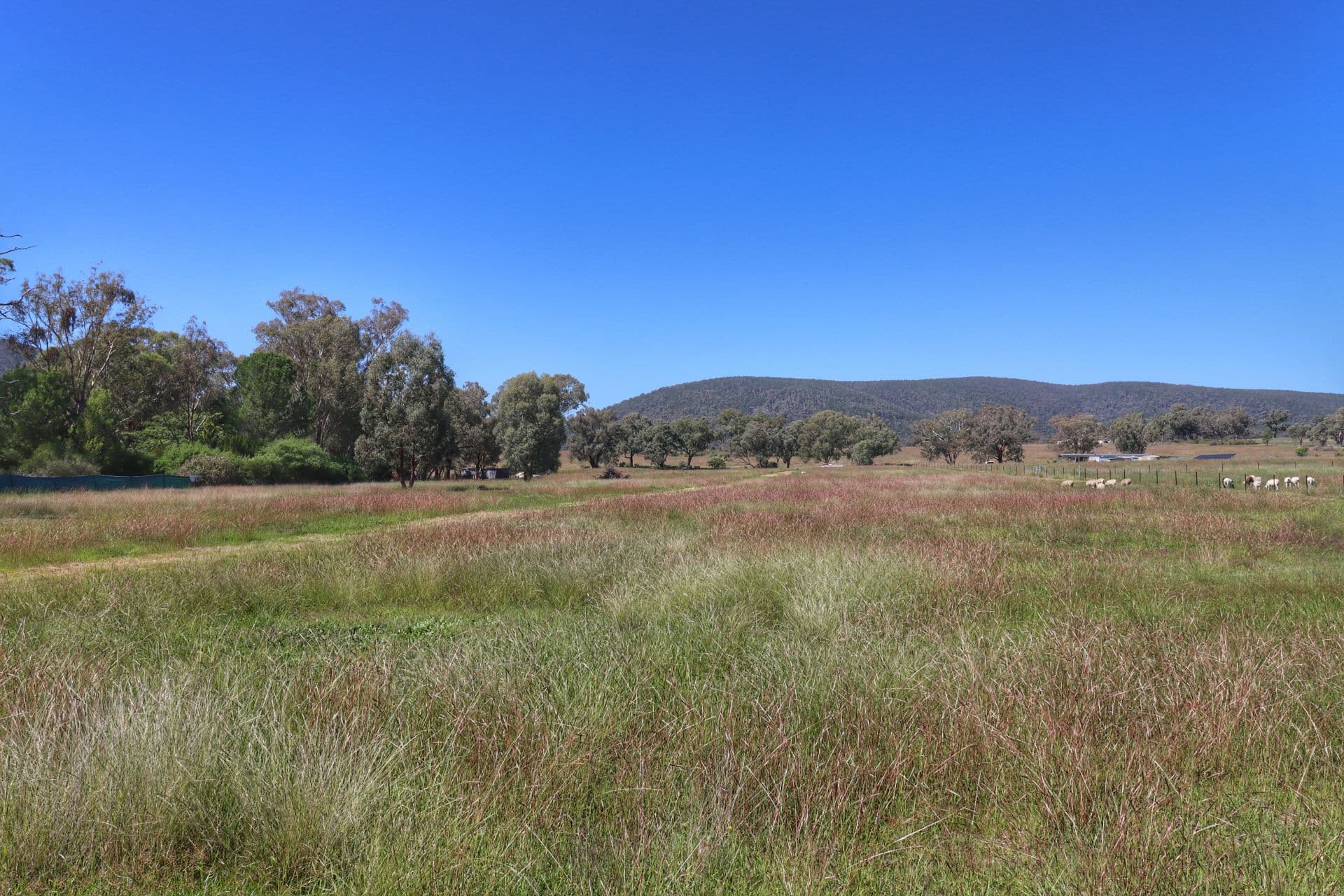 138 Cowra Street, KOORAWATHA, Koorawatha - Thumbnail 6