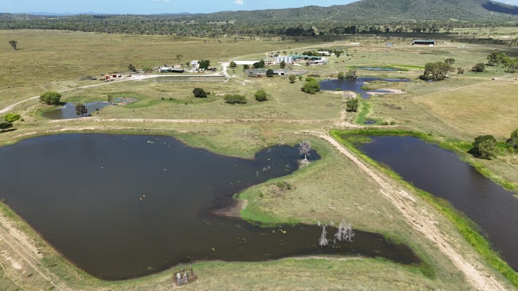 Aintree , MARMOR QLD 4702, Marmor - Thumbnail 4