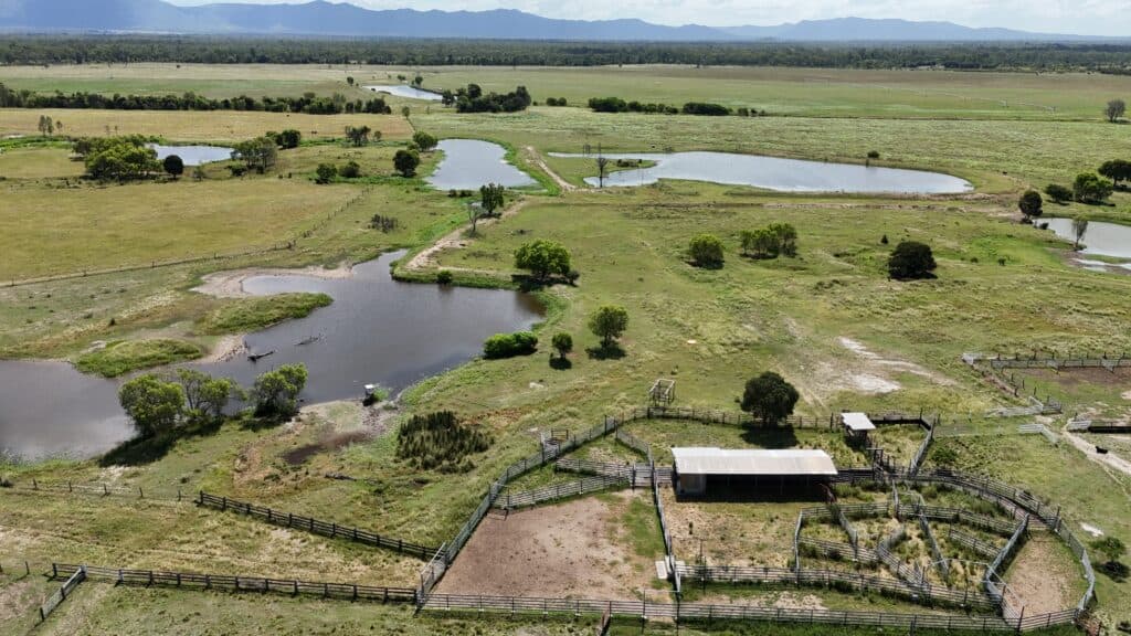 Aintree , MARMOR QLD 4702, Marmor - Thumbnail 6