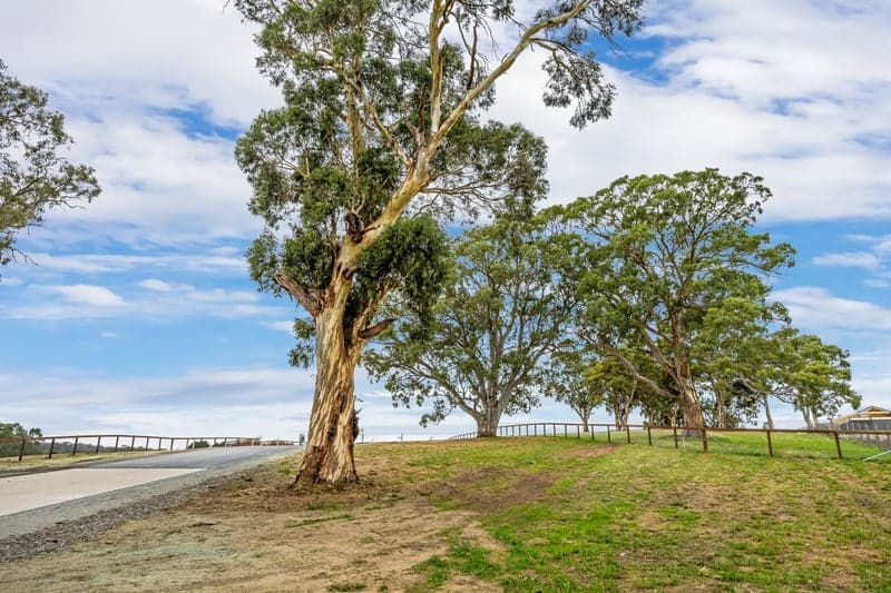 Lot 104,  Kym Avenue, Littlehampton - Thumbnail 5
