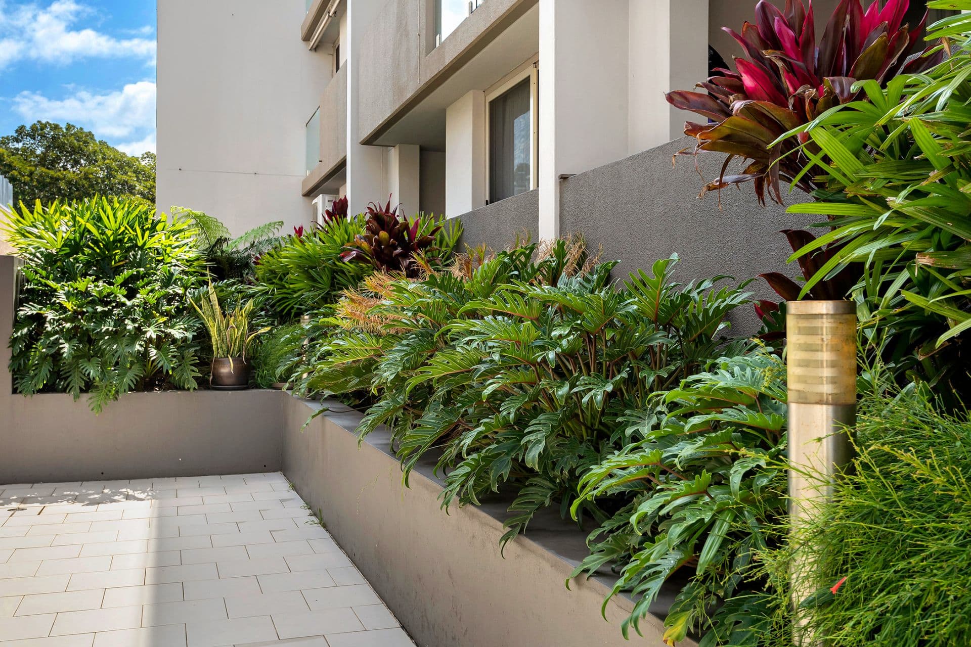 10/2-8 Darley Road, Manly, Manly - Thumbnail 5